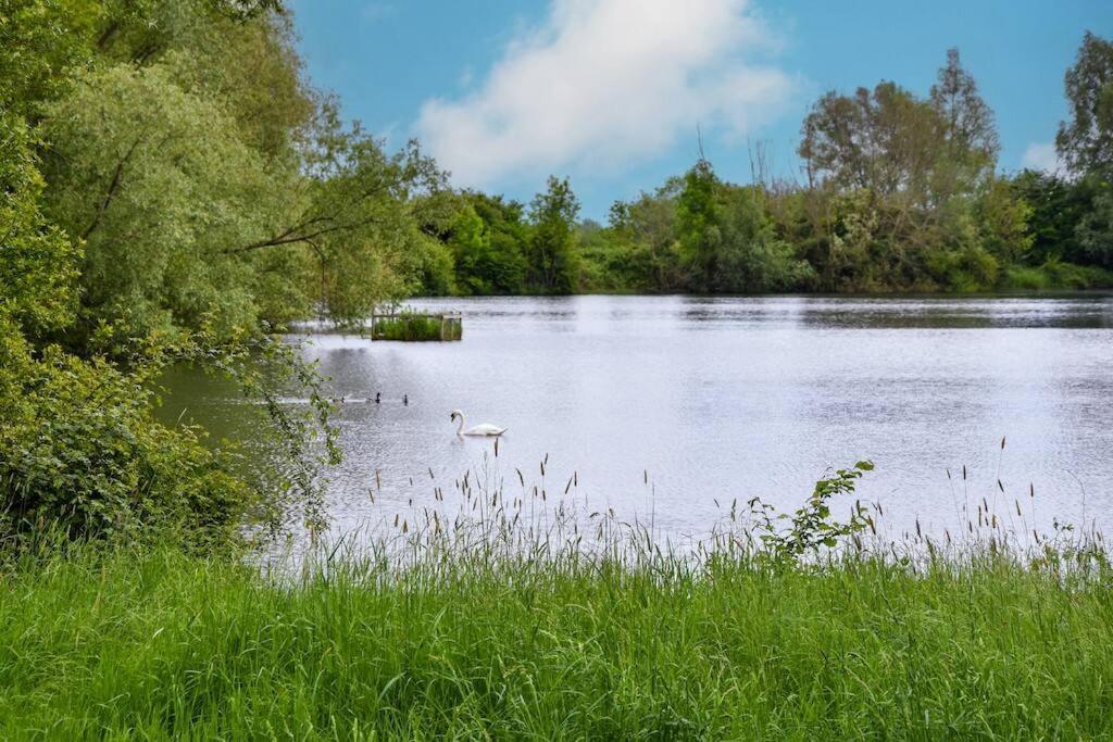 The Hideaway @ Flagham Cottage. Malmesbury Esterno foto